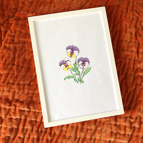 Original Viola Illustration