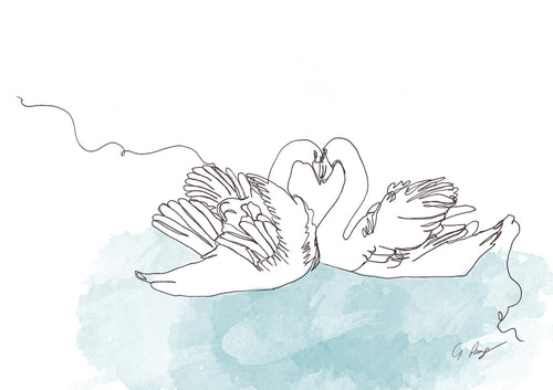 Love Swans Continuous Line