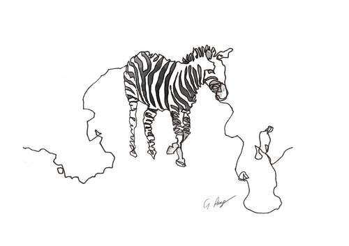 Zebra Continuous Line